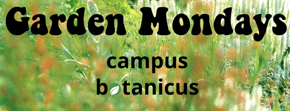 Vortrag bei Campus Botanicus!